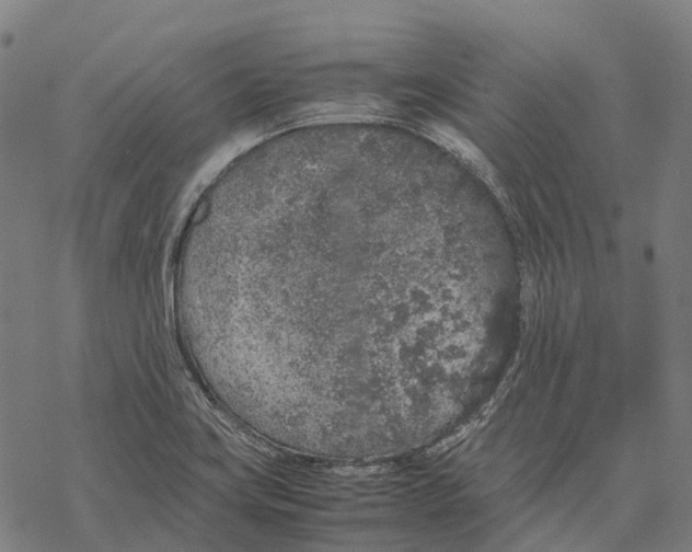 X0000067871419200605111748