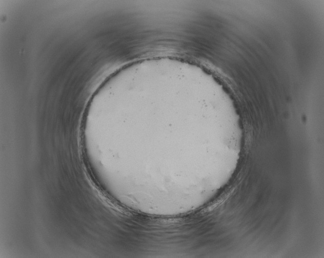 X0000067871423200605111748