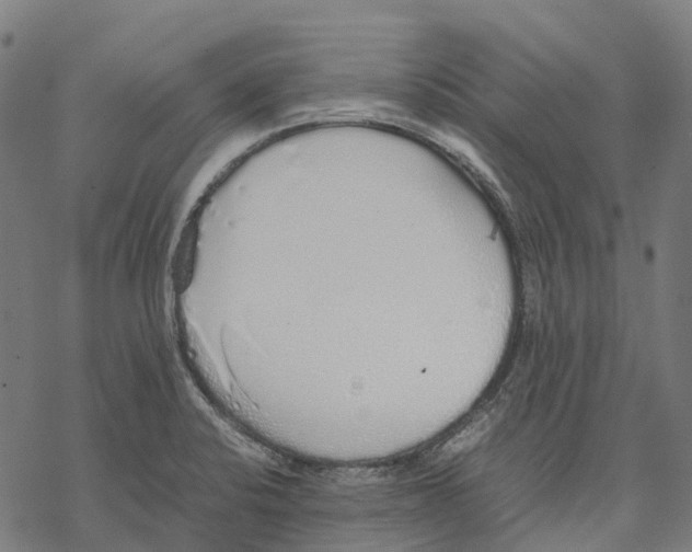 X0000067871424200605111748