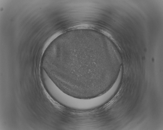 X0000067871426200605111748