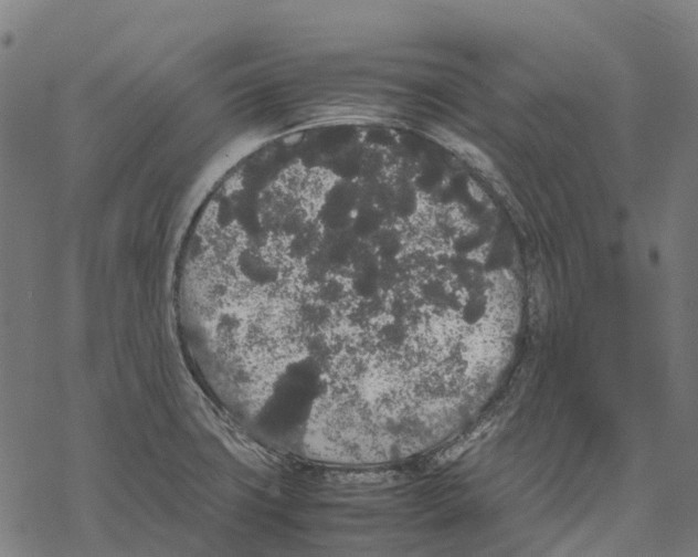 X0000067871427200605111748