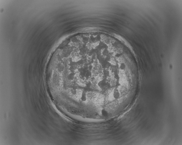 X0000067871429200605111748