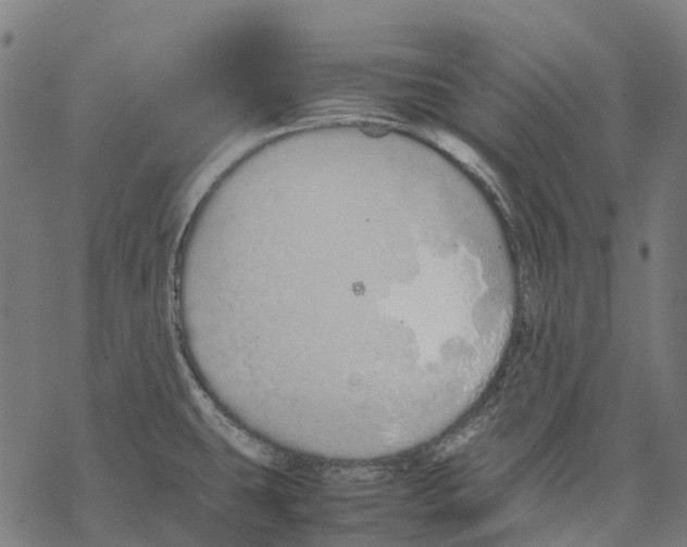 X0000067871431200605111748