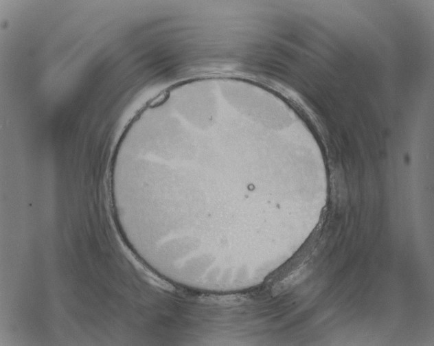 X0000067871432200605111748