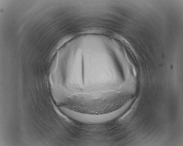 X0000067871433200605111748