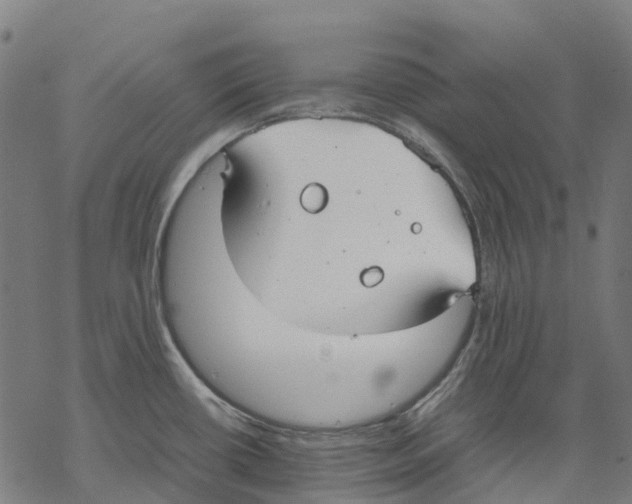 X0000067871434200605111748