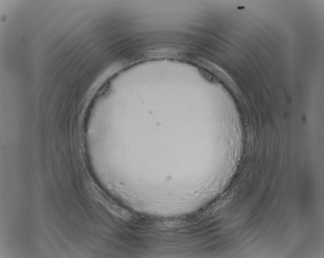 X0000067871435200605111748