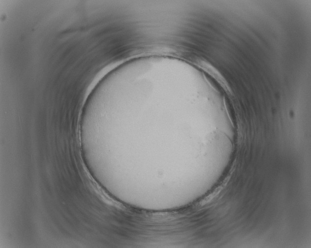 X0000067871436200605111748