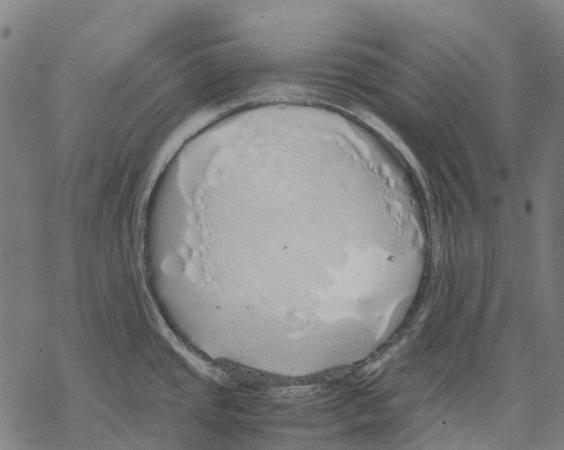 X0000067871437200605111748