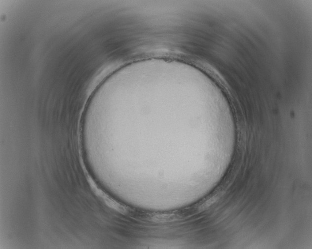 X0000067871439200605111748