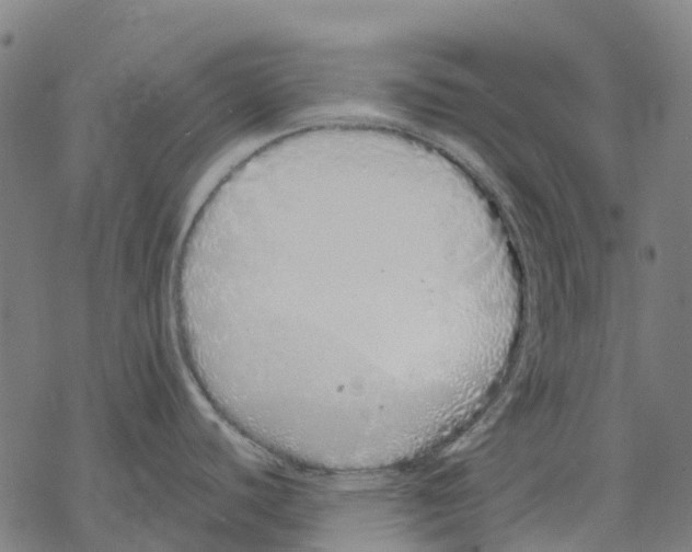 X0000067871440200605111748