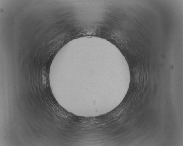 X0000067871442200605111747