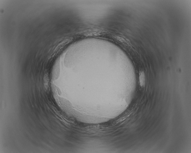 X0000067871444200605111747