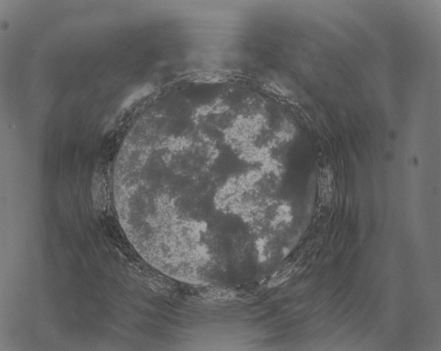 X0000067871446200605111747