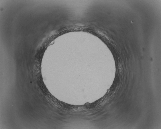 X0000067871447200605111747