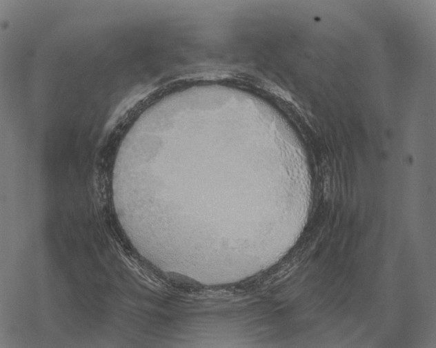 X0000067871448200605111747