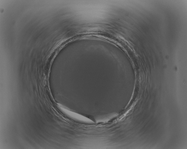 X0000067871449200605111747