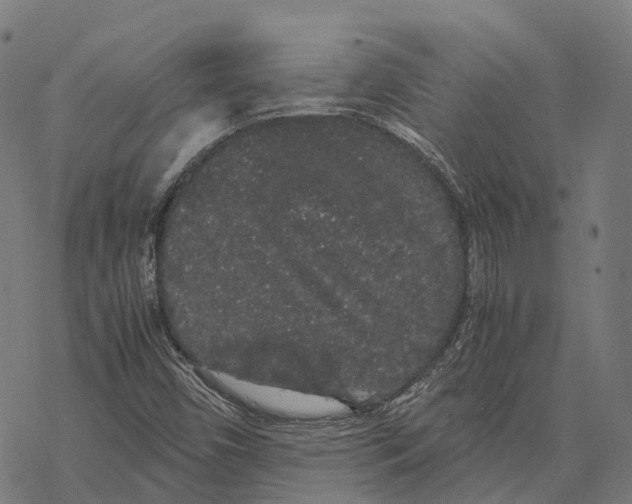 X0000067871450200605111747