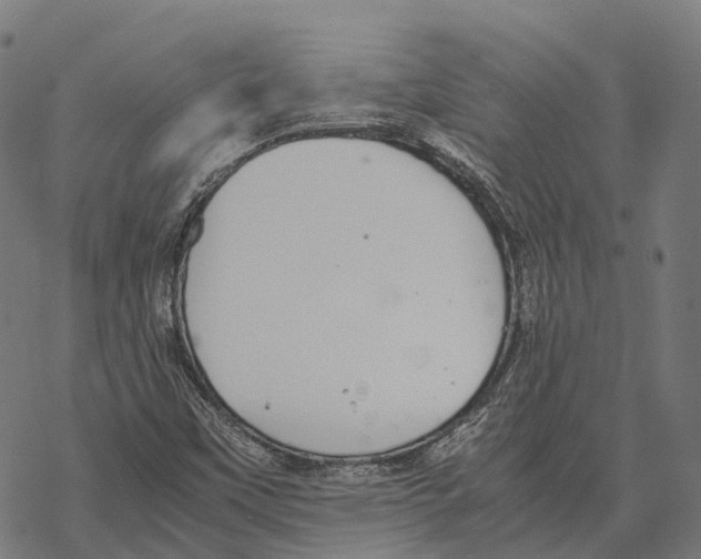 X0000067871451200605111747