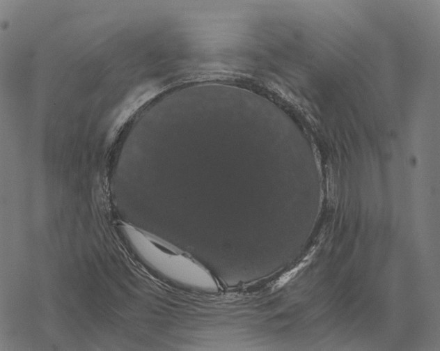 X0000067871453200605111747