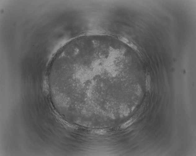 X0000067871454200605111747