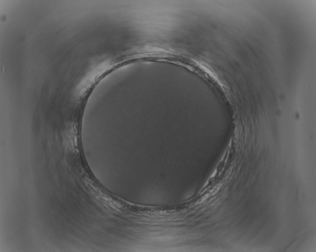 X0000067871455200605111747