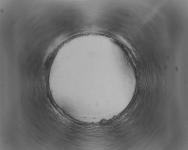 X0000067871456200605111747