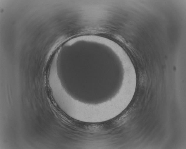 X0000067871459200605111747