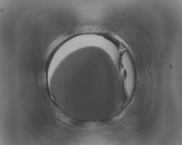 X0000067871461200605111747