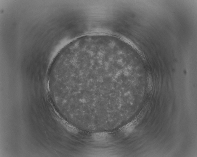 X0000067871462200605111747