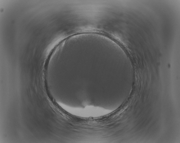 X0000067871463200605111747