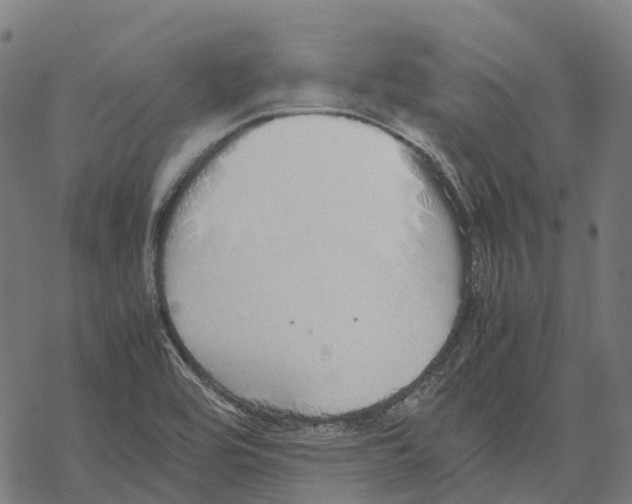 X0000067871464200605111747