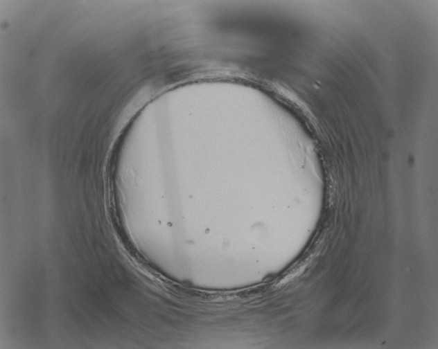 X0000067871467200605111747