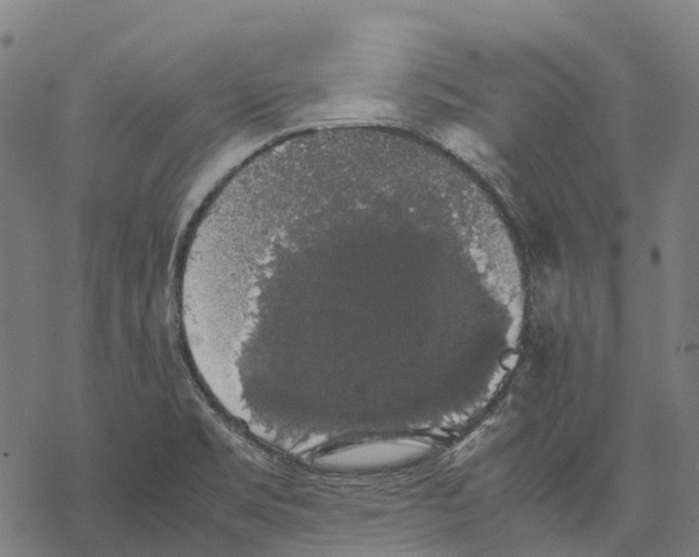 X0000067871469200605111747