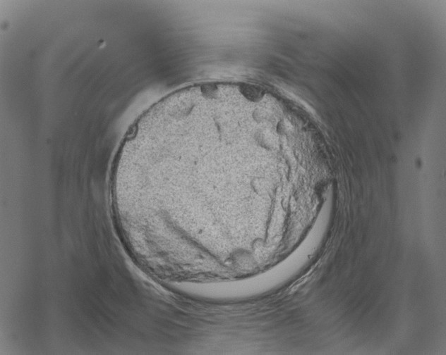 X0000067871471200605111747