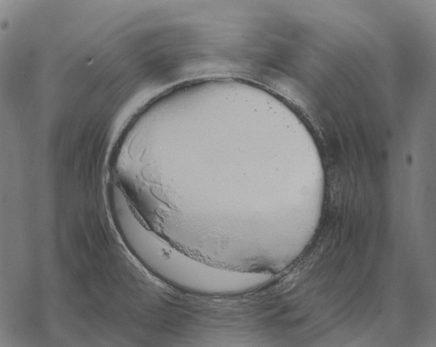 X0000067871472200605111747