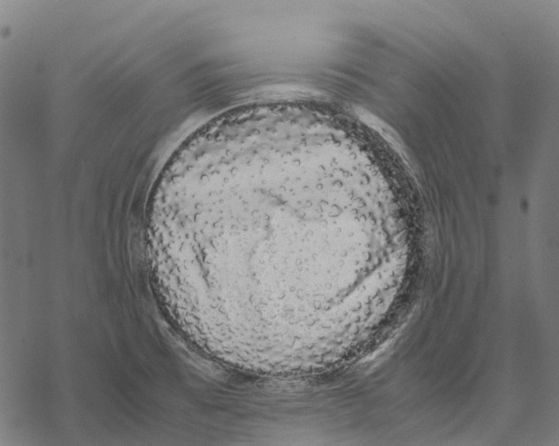 X0000067871473200605111747