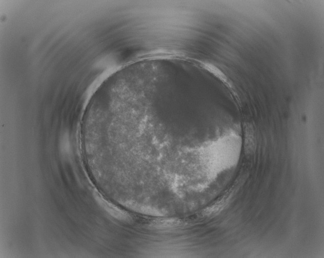 X0000067871474200605111747