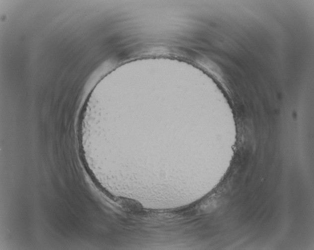 X0000067871475200605111747