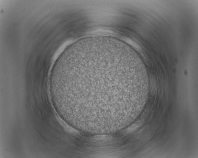 X0000067871478200605111747