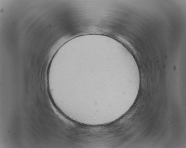 X0000067871479200605111747