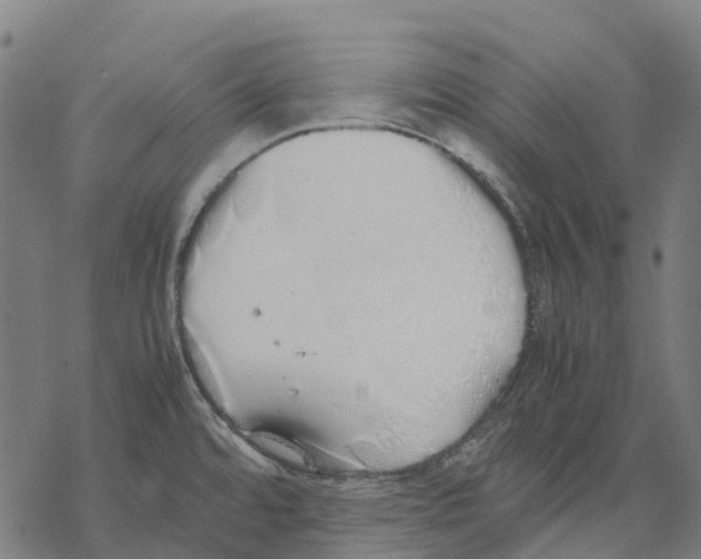 X0000067871480200605111747