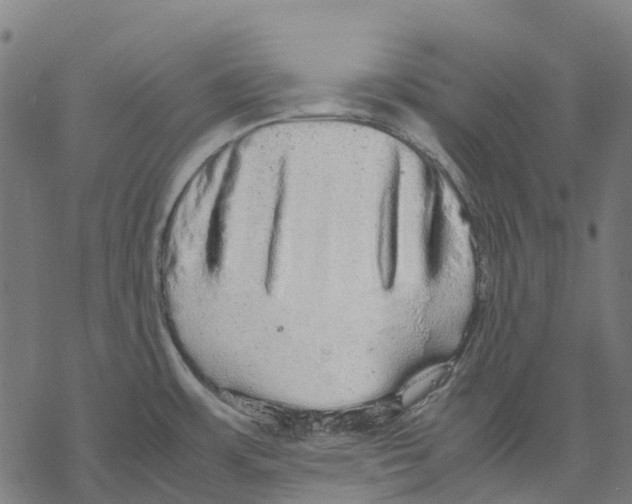 X0000067871483200605111747