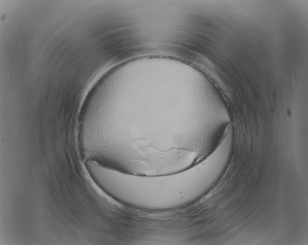 X0000067871484200605111747