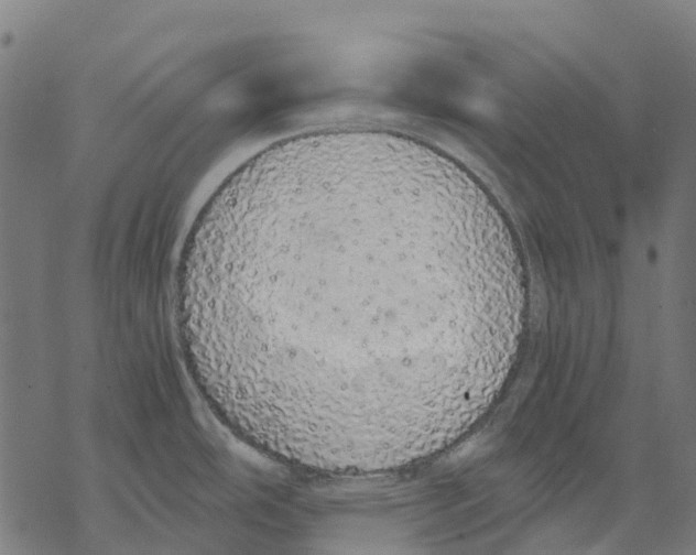 X0000067871486200605111747