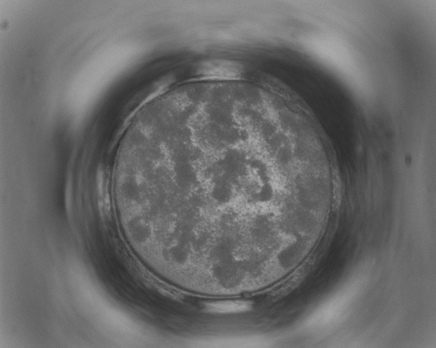 X0000067871487200605111747