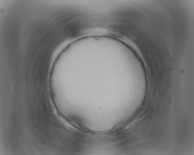 X0000067871488200605111747