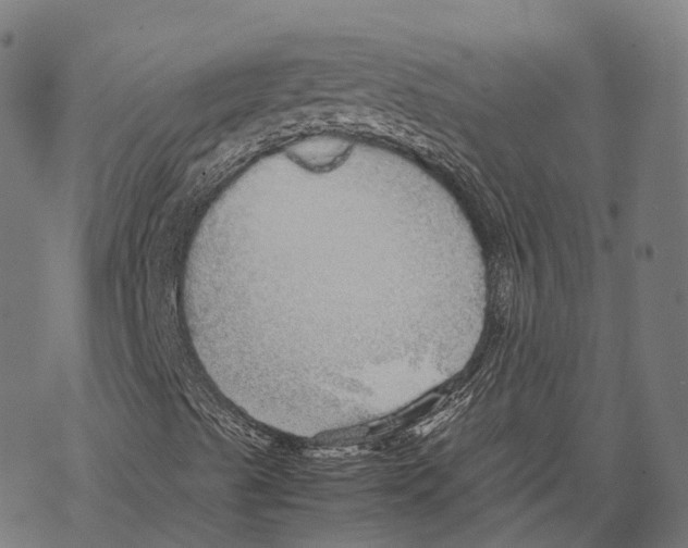 X0000067871489200605111746