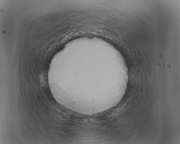 X0000067871490200605111746