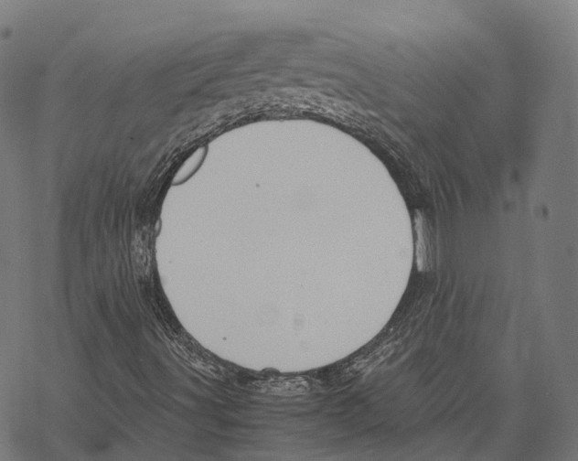 X0000067871491200605111746